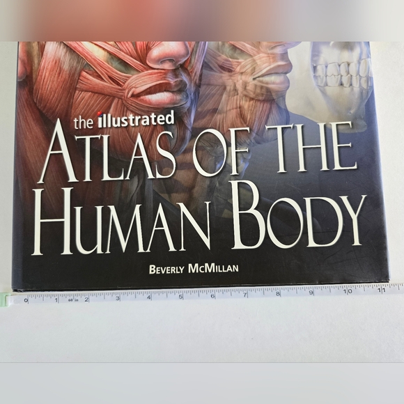 🩻 Atlas Of The Human Body Hardcover Book - Picture 12 of 16